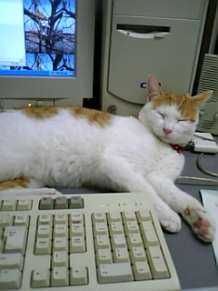 �F�ƒK�ƈ��L(�l���������r�s�d�k�k�`)�̐���