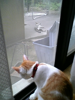 �F�ƒK�ƈ��L(�l���������r�s�d�k�k�`)�̐���