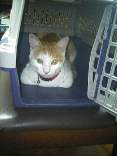 �F�ƒK�ƈ��L(�l���������r�s�d�k�k�`)�̐���