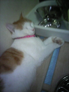 �F�ƒK�ƈ��L(�l���������r�s�d�k�k�`)�̐���