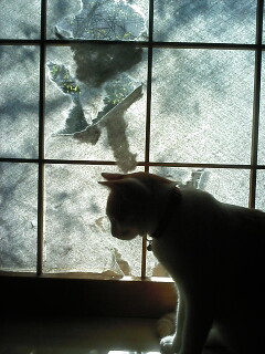 �F�ƒK�ƈ��L(�l���������r�s�d�k�k�`)�̐���