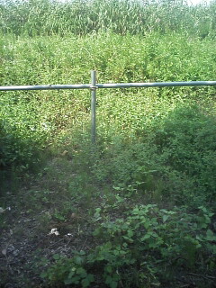 �F�ƒK�ƈ��L(�l���������r�s�d�k�k�`)�̐���