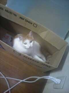 �F�ƒK�ƈ��L(�l���������r�s�d�k�k�`)�̐���