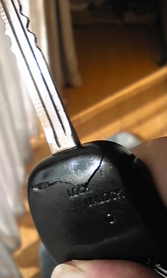 �F�ƒK�ƈ��L(�l���������r�s�d�k�k�`)�̐���