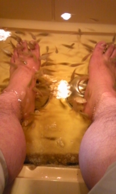 �F�ƒK�ƈ��L(�l���������r�s�d�k�k�`)�̐���