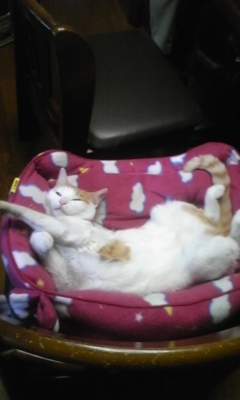 �F�ƒK�ƈ��L(�l���������r�s�d�k�k�`)�̐���