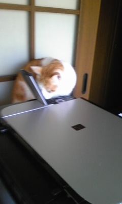 �F�ƒK�ƈ��L(�l���������r�s�d�k�k�`)�̐���