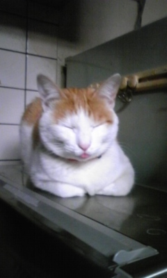 �F�ƒK�ƈ��L(�l���������r�s�d�k�k�`)�̐���