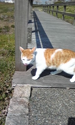 �F�ƒK�ƈ��L(�l���������r�s�d�k�k�`)�̐���