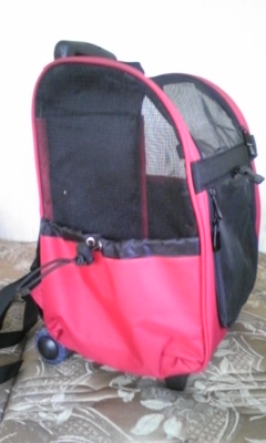 �F�ƒK�ƈ��L(�l���������r�s�d�k�k�`)�̐���