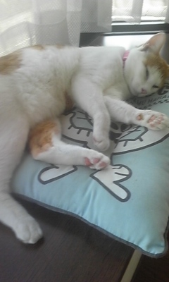 �F�ƒK�ƈ��L(�l���������r�s�d�k�k�`)�̐���