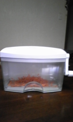 �F�ƒK�ƈ��L(�l���������r�s�d�k�k�`)�̐���