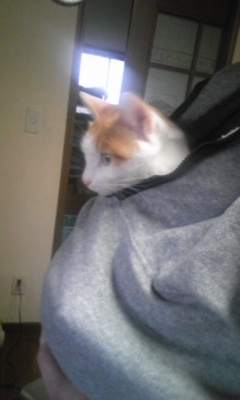 �F�ƒK�ƈ��L(�l���������r�s�d�k�k�`)�̐���