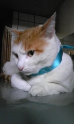 �F�ƒK�ƈ��L(�l���������r�s�d�k�k�`)�̐���