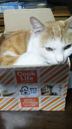 �F�ƒK�ƈ��L(�l���������r�s�d�k�k�`)�̐���