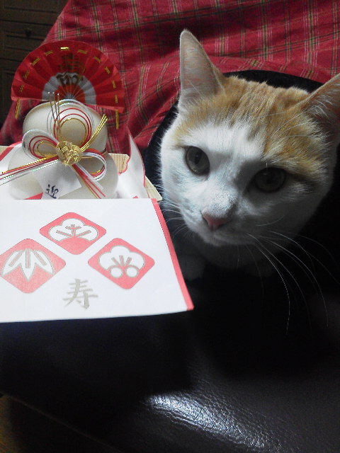 �F�ƒK�ƈ��L(�l���������r�s�d�k�k�`)�̐���