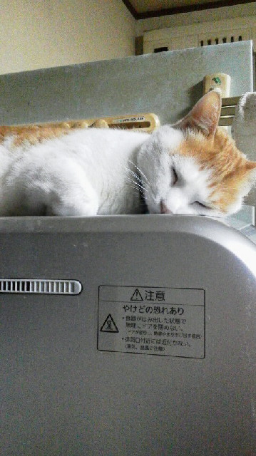 �F�ƒK�ƈ��L(�l���������r�s�d�k�k�`)�̐���