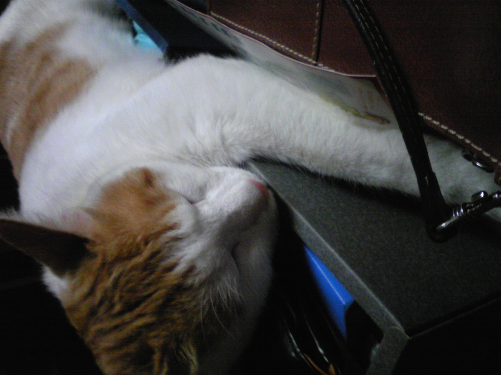 �F�ƒK�ƈ��L(�l���������r�s�d�k�k�`)�̐���