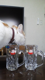 �F�ƒK�ƈ��L(�l���������r�s�d�k�k�`)�̐���