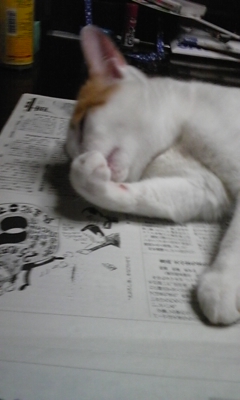 �F�ƒK�ƈ��L(�l���������r�s�d�k�k�`)�̐���