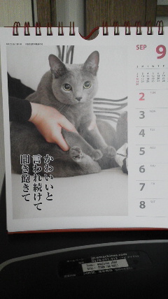 �F�ƒK�ƈ��L(�l���������r�s�d�k�k�`)�̐���