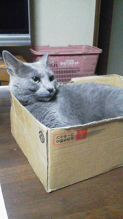 �F�ƒK�ƈ��L(�l���������r�s�d�k�k�`)�̐���