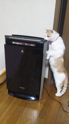 �F�ƒK�ƈ��L(�l���������r�s�d�k�k�`)�̐���