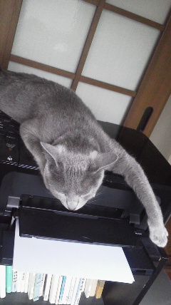 �F�ƒK�ƈ��L(�l���������r�s�d�k�k�`)�̐���