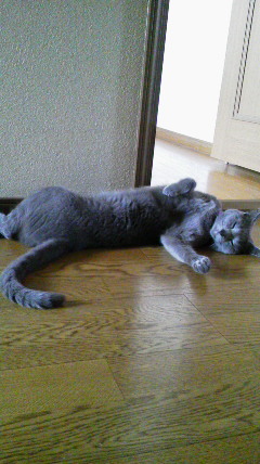 �F�ƒK�ƈ��L(�l���������r�s�d�k�k�`)�̐���