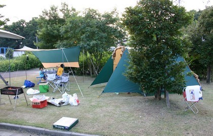 �����̑��q�������̖�