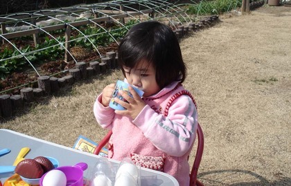 �����̑��q�������̖�