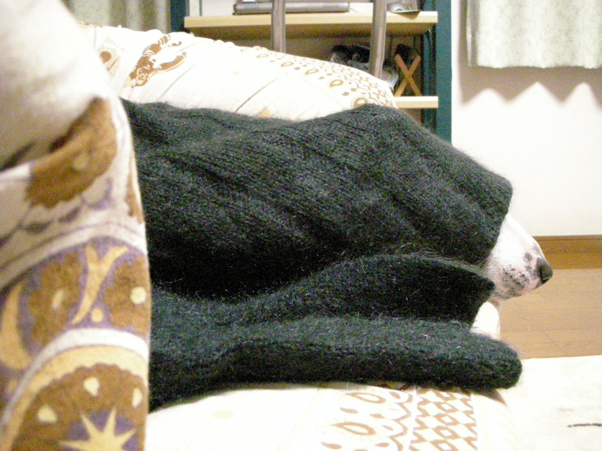 ���r�A�g���̍U���I�Ȗ���