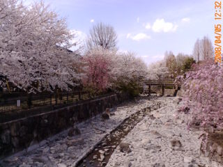 ���r�A�g���̍U���I�Ȗ���