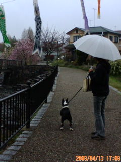 ���r�A�g���̍U���I�Ȗ���