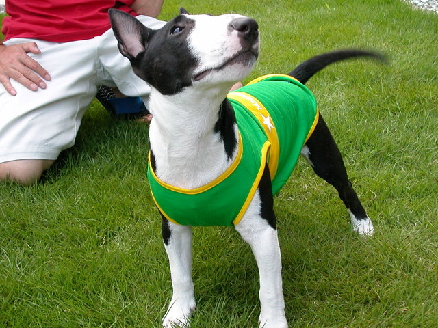 ���r�A�g���̍U���I�Ȗ���