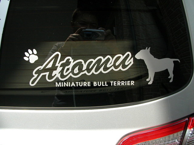 ���r�A�g���̍U���I�Ȗ���