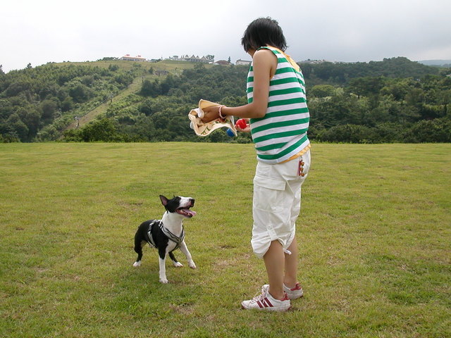 ���r�A�g���̍U���I�Ȗ���