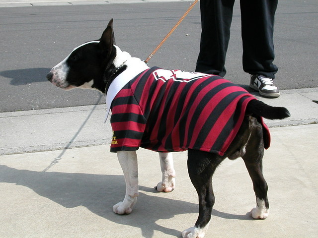 ���r�A�g���̍U���I�Ȗ���