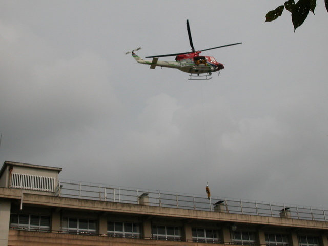 ���r�A�g���̍U���I�Ȗ���