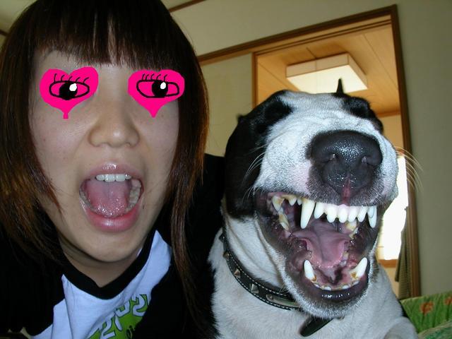 ���r�A�g���̍U���I�Ȗ���