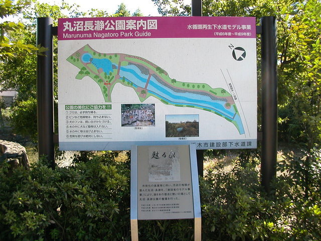 ���r�A�g���̍U���I�Ȗ���