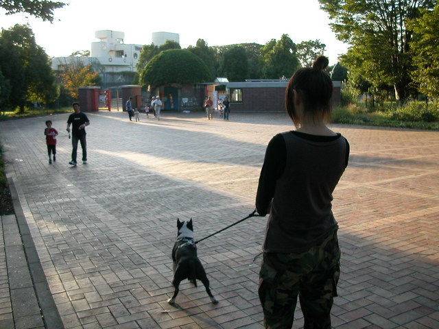 ���r�A�g���̍U���I�Ȗ���