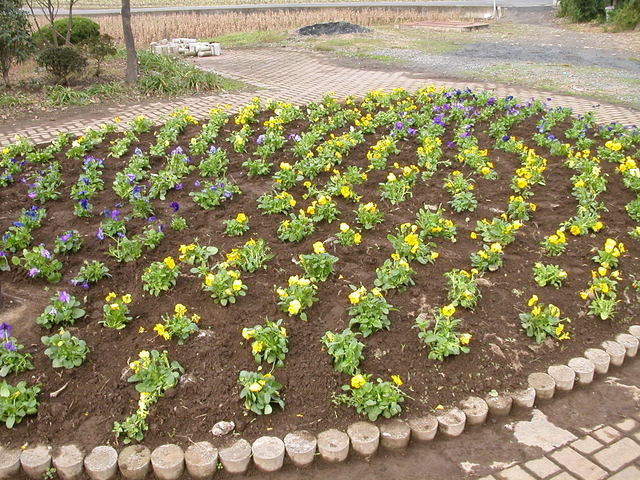 ���r�A�g���̍U���I�Ȗ���