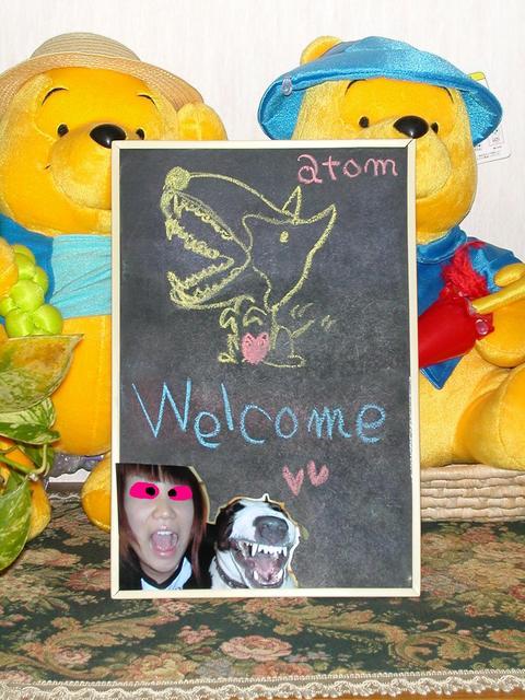 ���r�A�g���̍U���I�Ȗ���