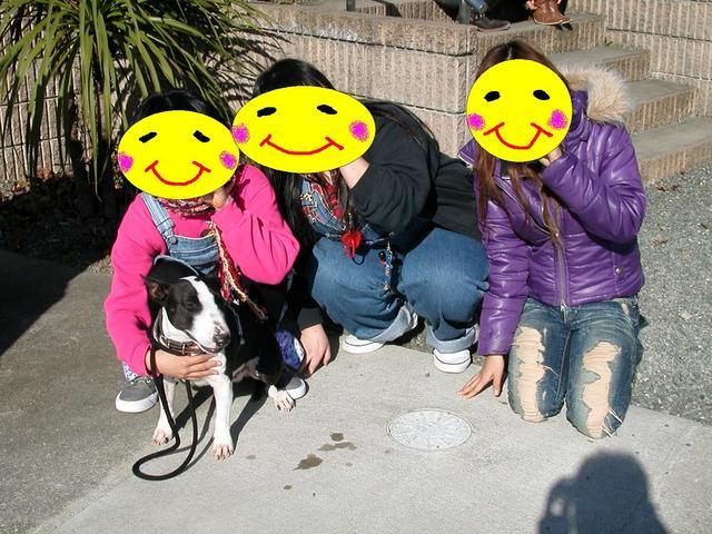 ���r�A�g���̍U���I�Ȗ���