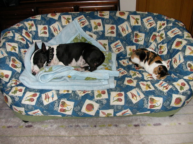 ���r�A�g���̍U���I�Ȗ���