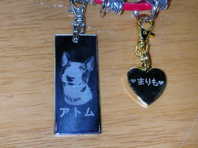 ���r�A�g���̍U���I�Ȗ���