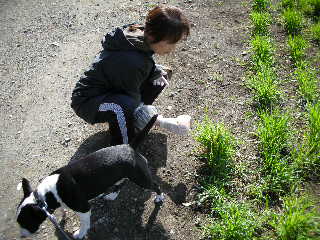 ���r�A�g���̍U���I�Ȗ���