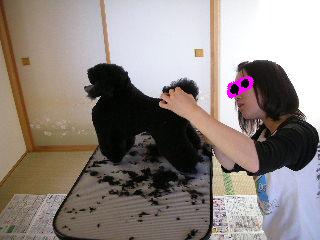 ���r�A�g���̍U���I�Ȗ���