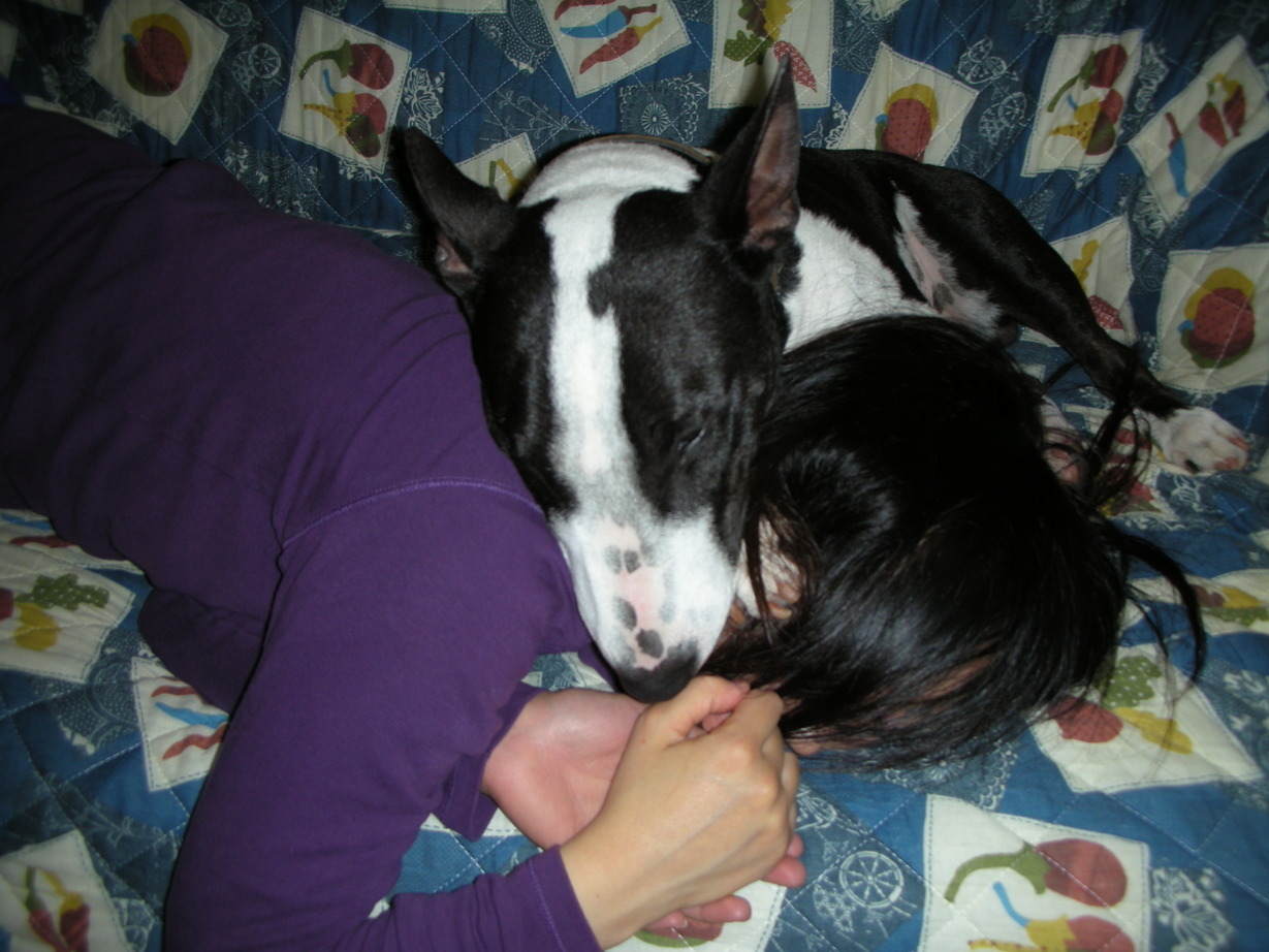 ���r�A�g���̍U���I�Ȗ���